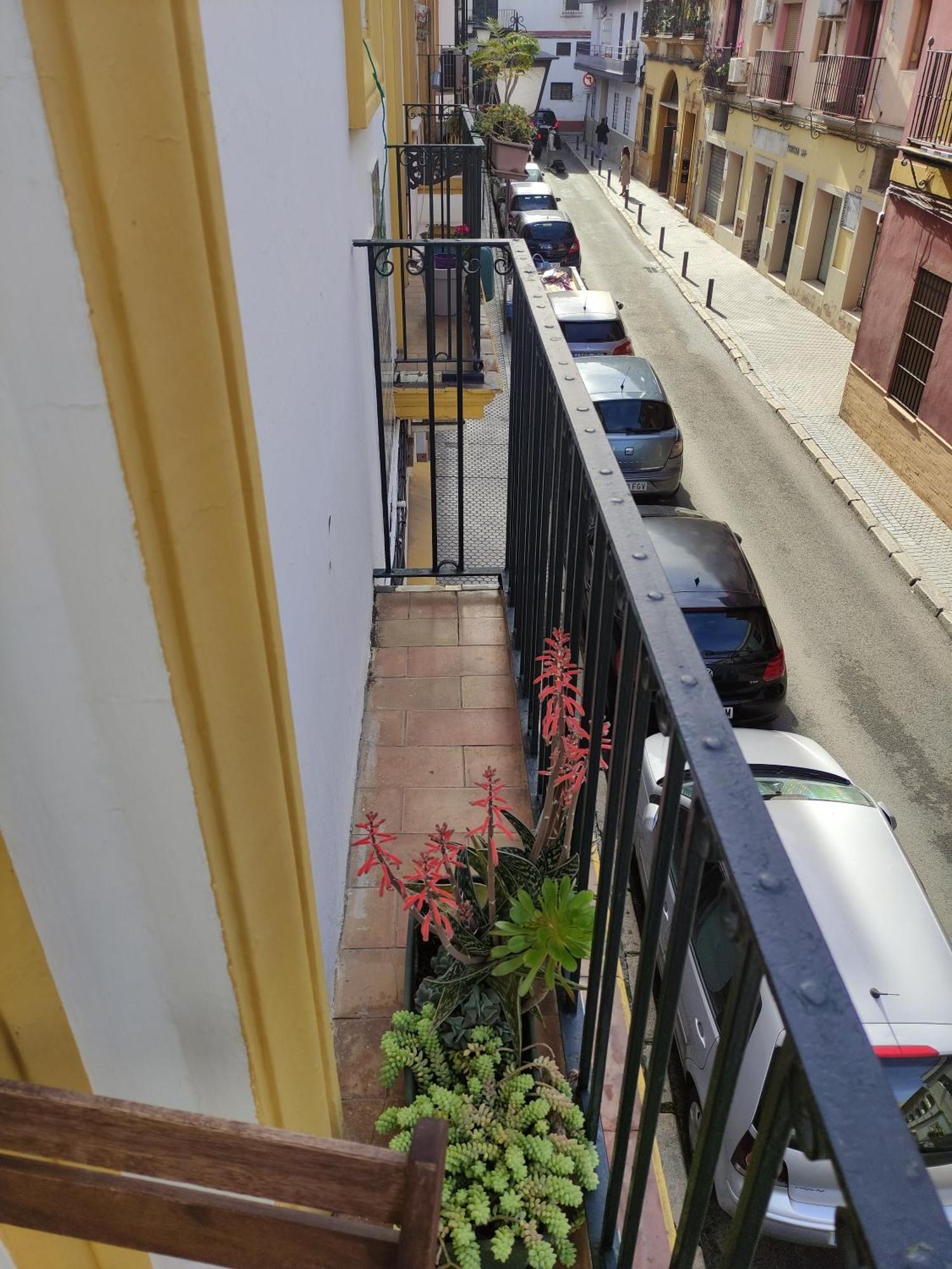 شقة Vive Triana إشبيلية المظهر الخارجي الصورة